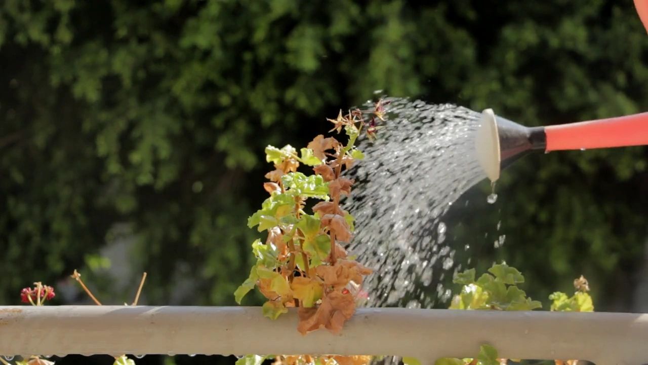 https://img1.wsimg.com/isteam/ip/2bb9351d-fd23-4e73-bfe3-0e66af00517a/thumbnails/thumbnail-70c564a0-548c-4ac5-8c5f-73bd3c1307a8.png