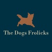 The Dogs Frolicks