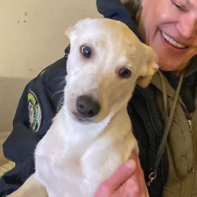 Person holding a white dog and smiling.