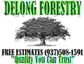 DeLong Forestry and Landscaping