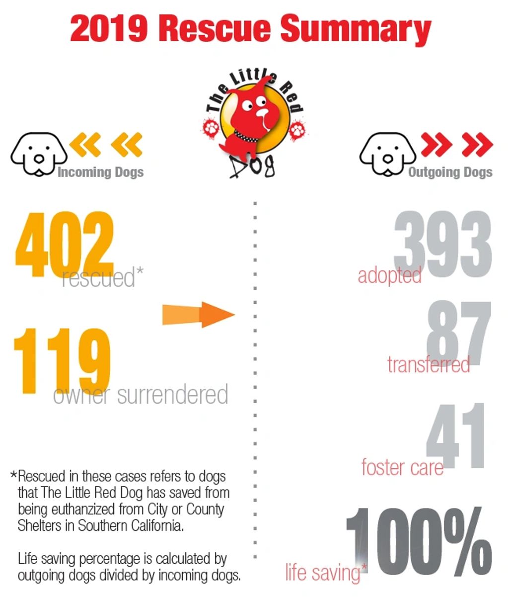 About The Little Red Dog