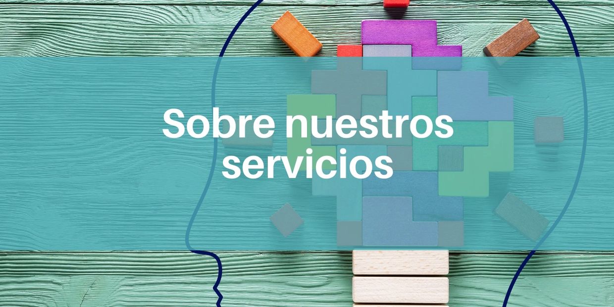 Servicios IDEA NEXT