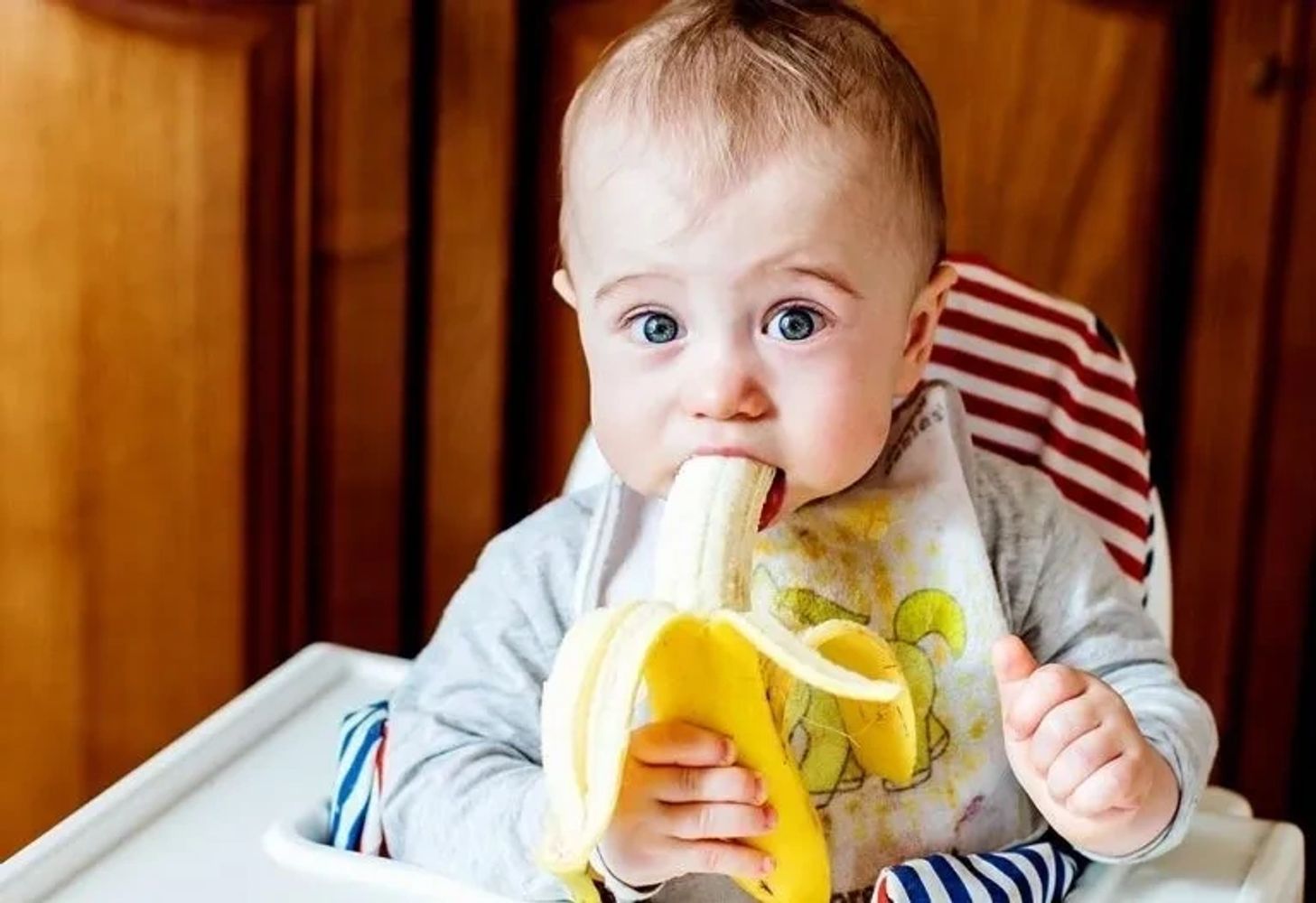 Baby with blue eyes eating a peeled banana in a high chair.