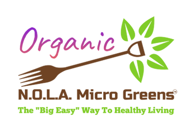 N.O.L.A. Micro Greens