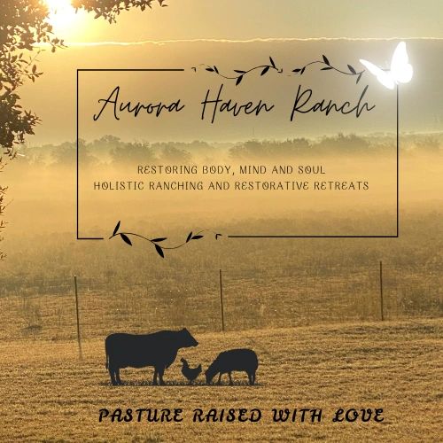 Serene ranch scene at sunrise promoting holistic ranching and restorative retreats.