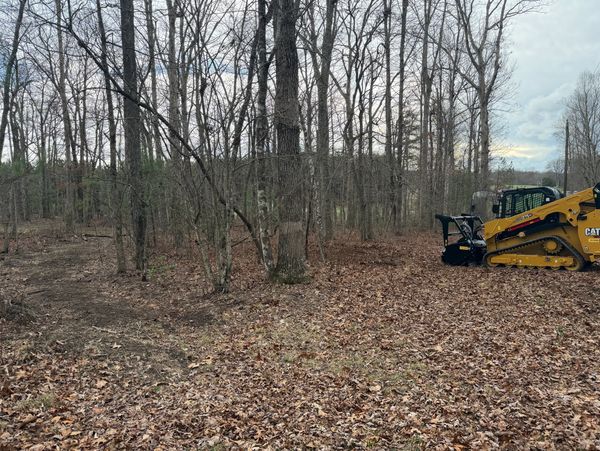 Yellow Caterpillar machine parked in a leaf-covered forest clearing.