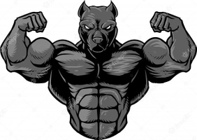Pitt Bull Fitness