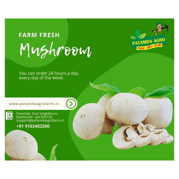 Patamda Agro button mushroom, Jamshedpur