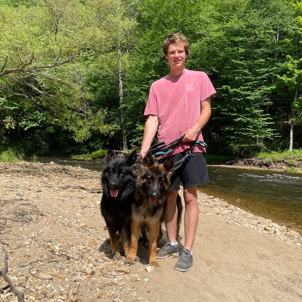 A man stands with two German Shepherd dogs by a river in a forest.