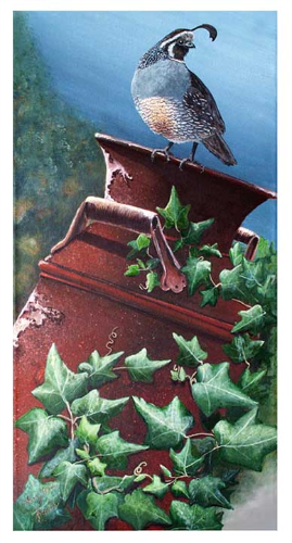 kaweeta painting quailone look out