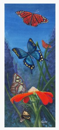 kaweeta Mystical Butterfly&#39;s