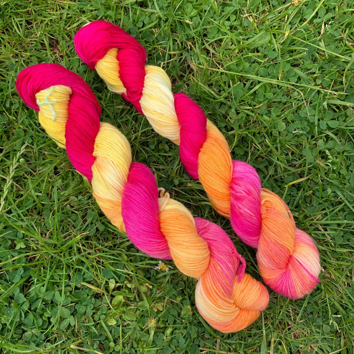 Dyed To Order Hand Dyed Yarn Fruit Salad