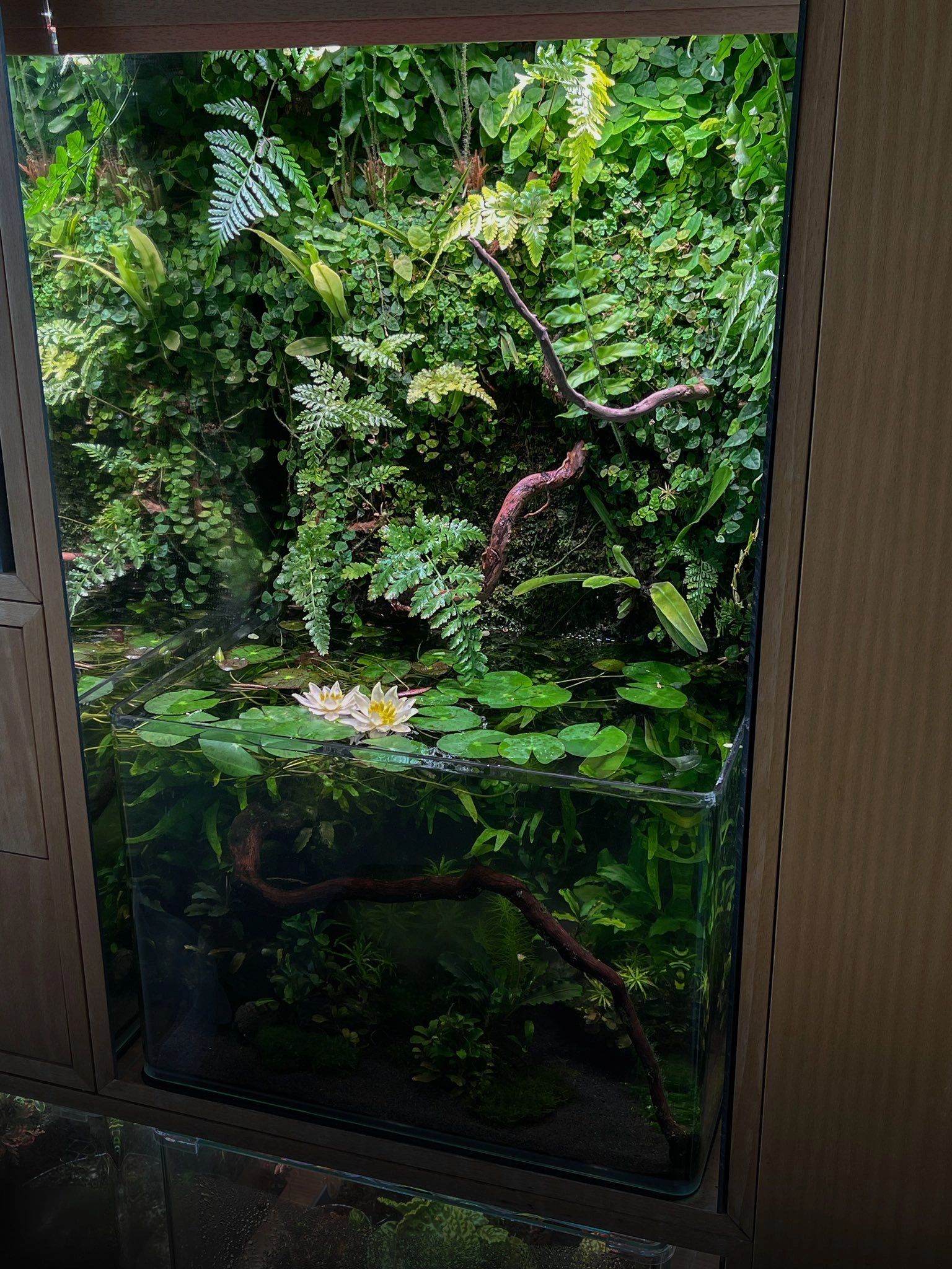 Bioactive vs Standard Enclosures