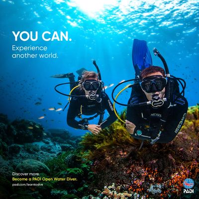 PADI scuba lesson. PADI Open Water Diver course