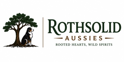 RothSolid Aussies 