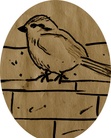 Sparrow on the Wall