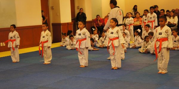 escuela de taekwondo en puebla hanmookwan