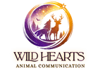 WILD HEARTS ANIMAL COMMUNICATION