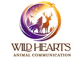 WILD HEARTS ANIMAL COMMUNICATION