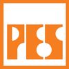 Pakistan Engineering Services