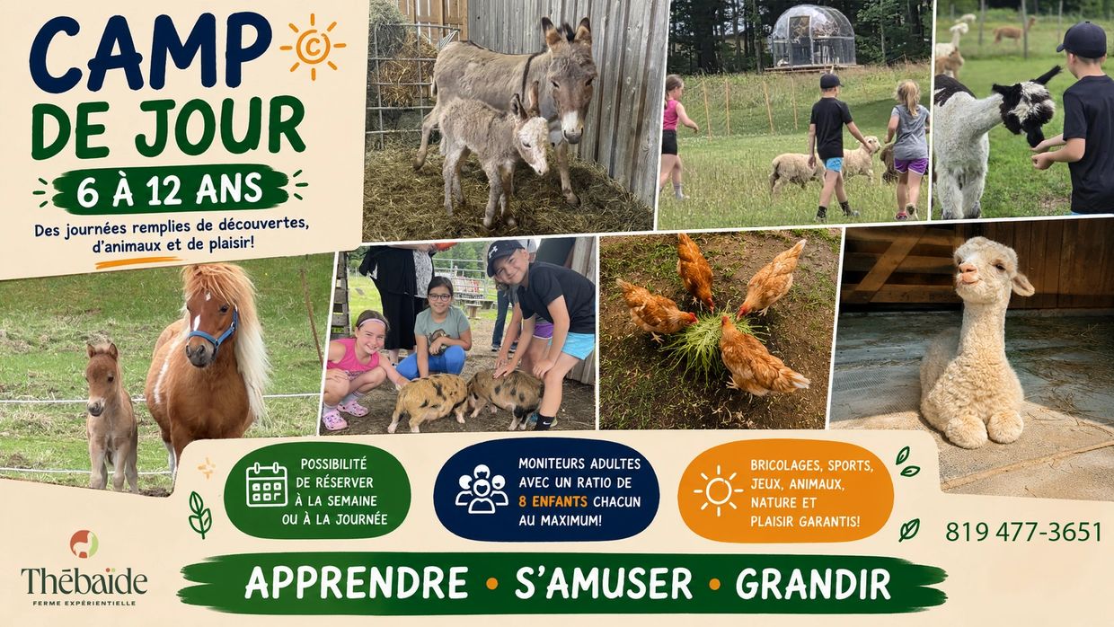 Camp de jour for kids with animals, nature, and fun activities.