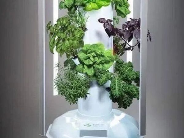 Tour à jardin verticale avec des herbes fraîches et de la laitue.