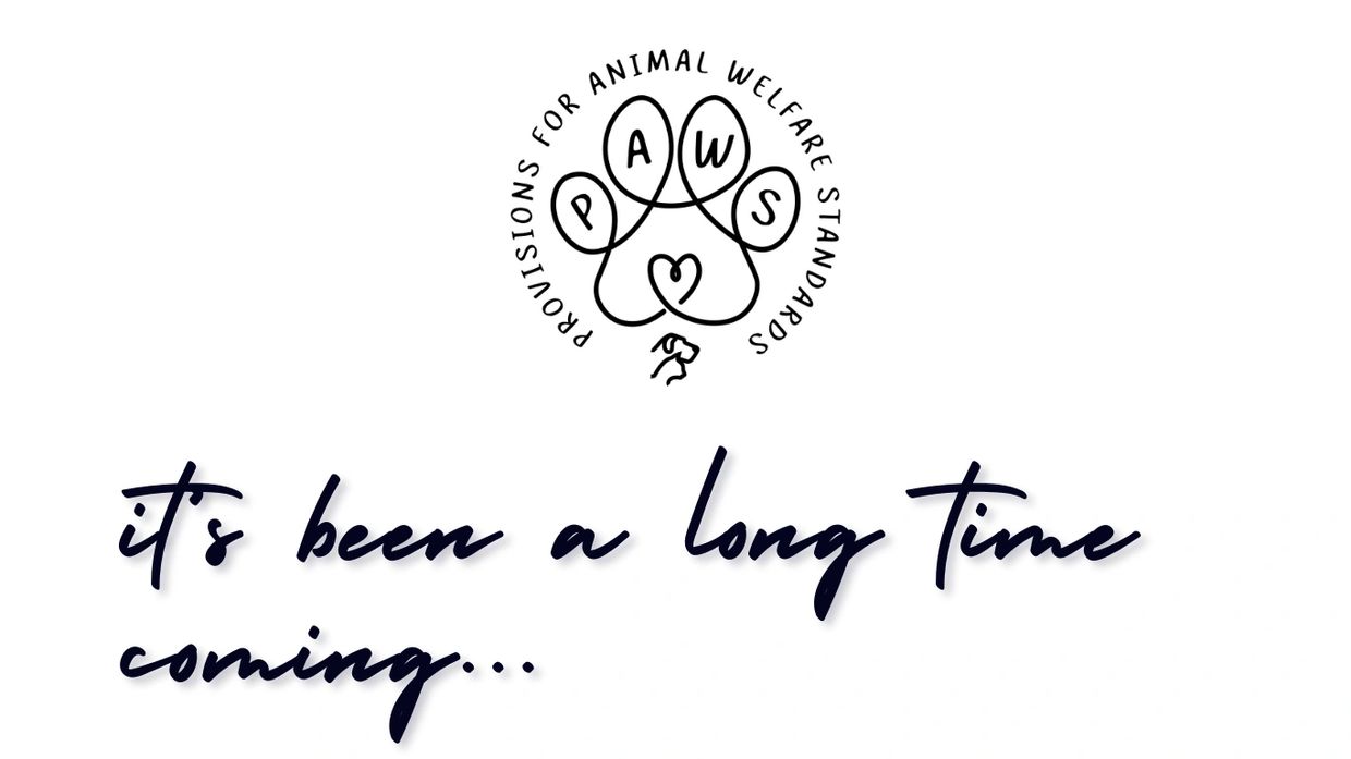 PAWS logo with the text: it's been a long time coming...