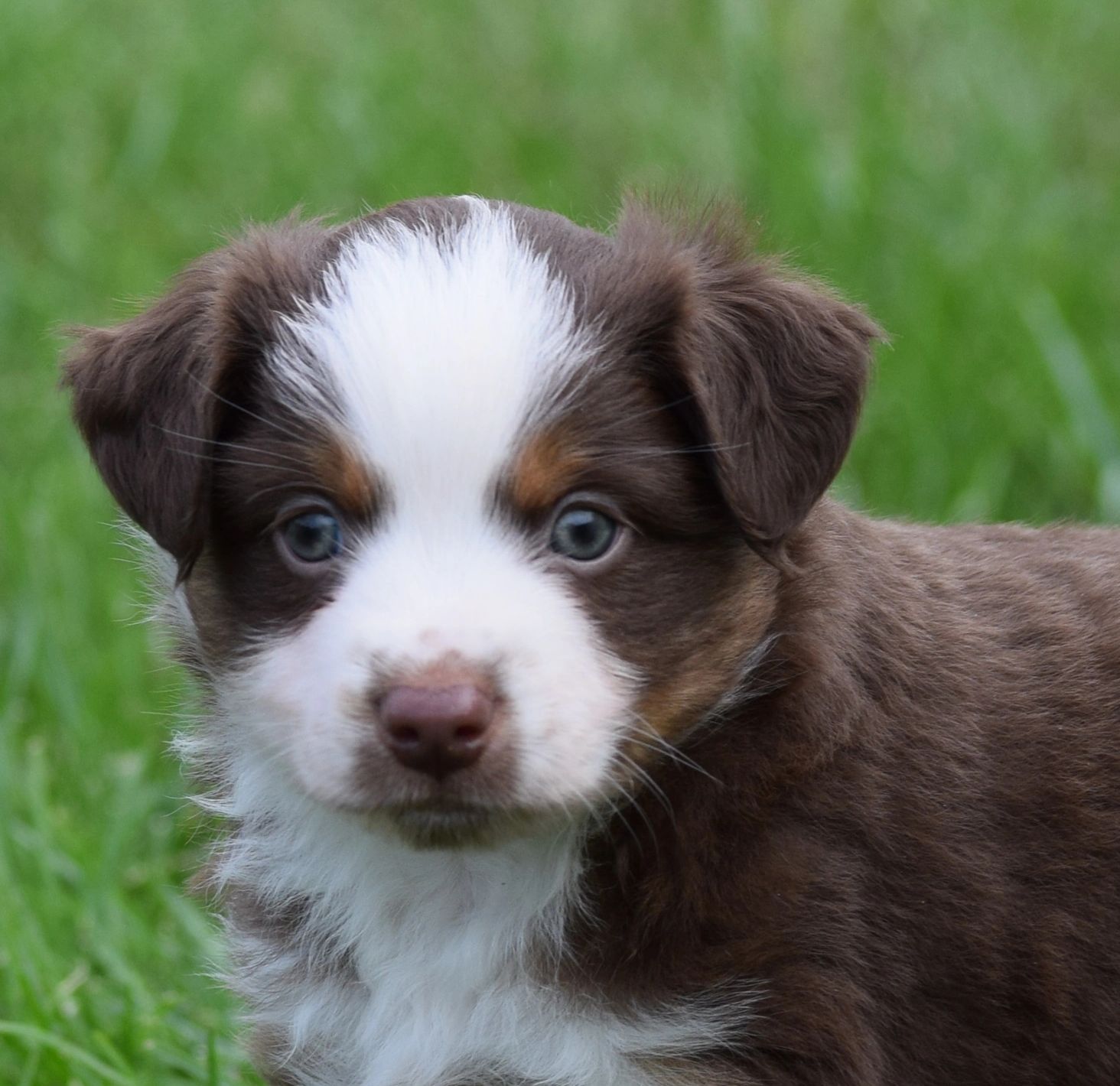 HiAvailable male Sketch 
$1200