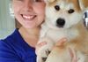 Japanese Akita Inu Sydney - Puppy Hugs