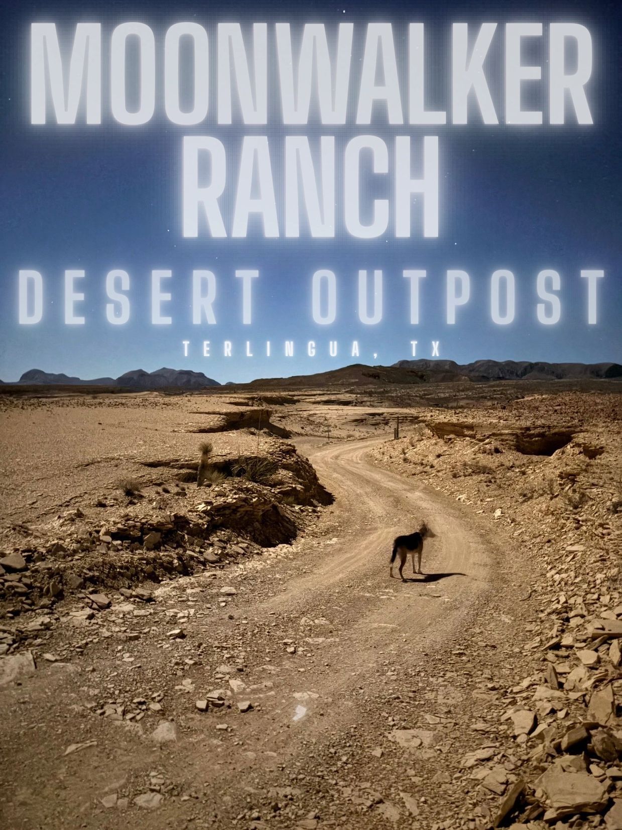 Desert road leading to Moonwalker Ranch, Terlingua, TX with a dog walking on it at night.