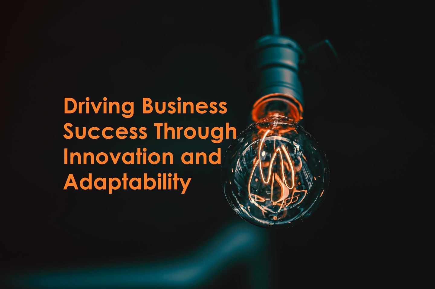 Driving Business Success Through Innovation and Adaptability