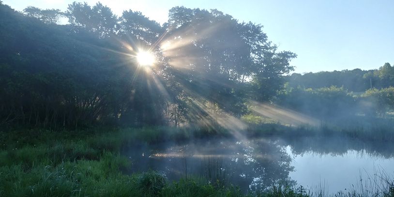 Early morning sunrise over pond on Sleepy Moon Farm.