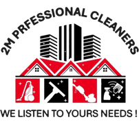 2M PROFESSIONAL CLEANERS