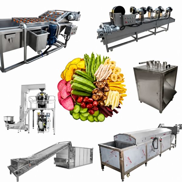 Industrial food processing machines with assorted fresh vegetables.