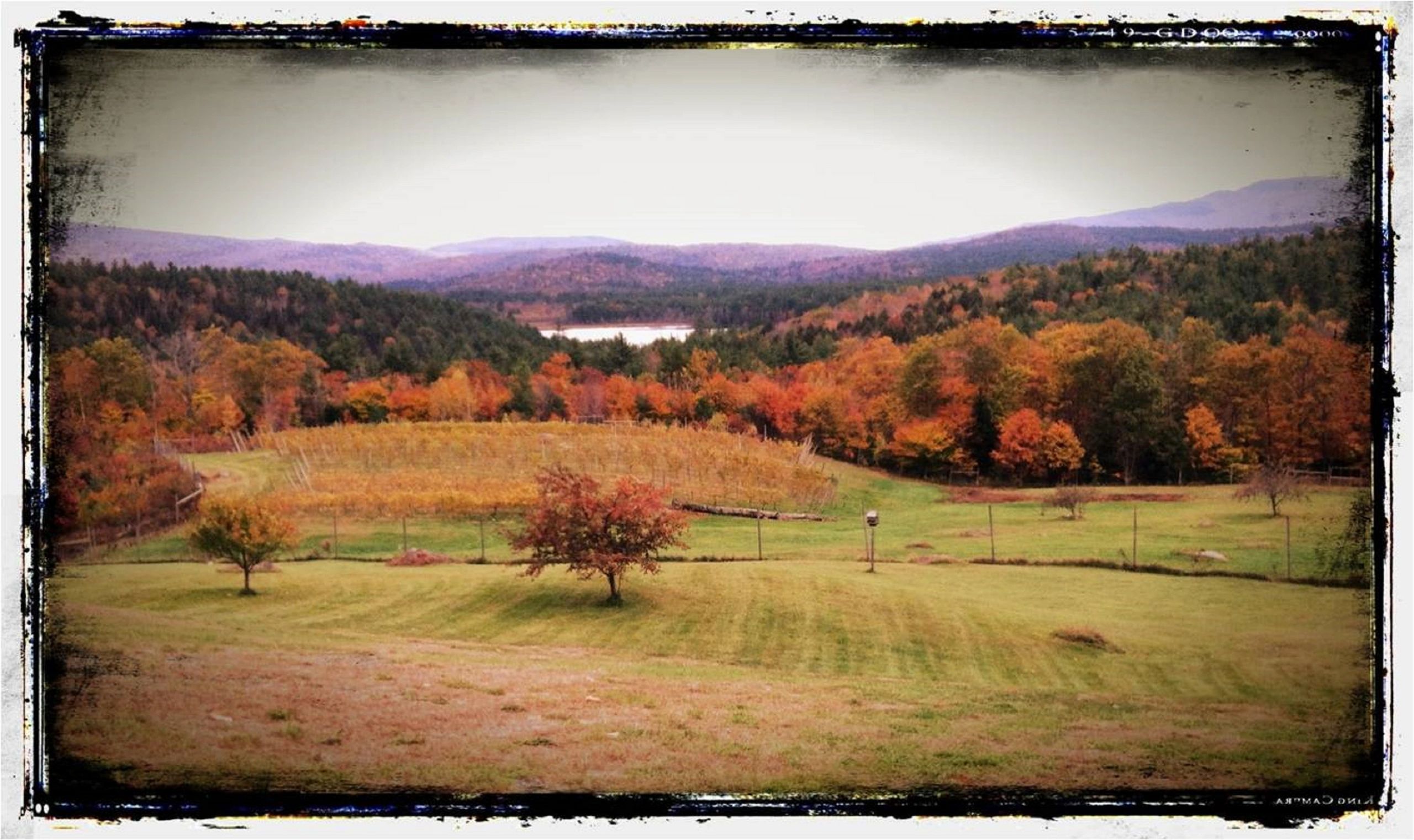 Haunting Whisper Vineyard & Spirits hero image