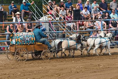 A horse-drawn wagon race at a rodeo with spectators.