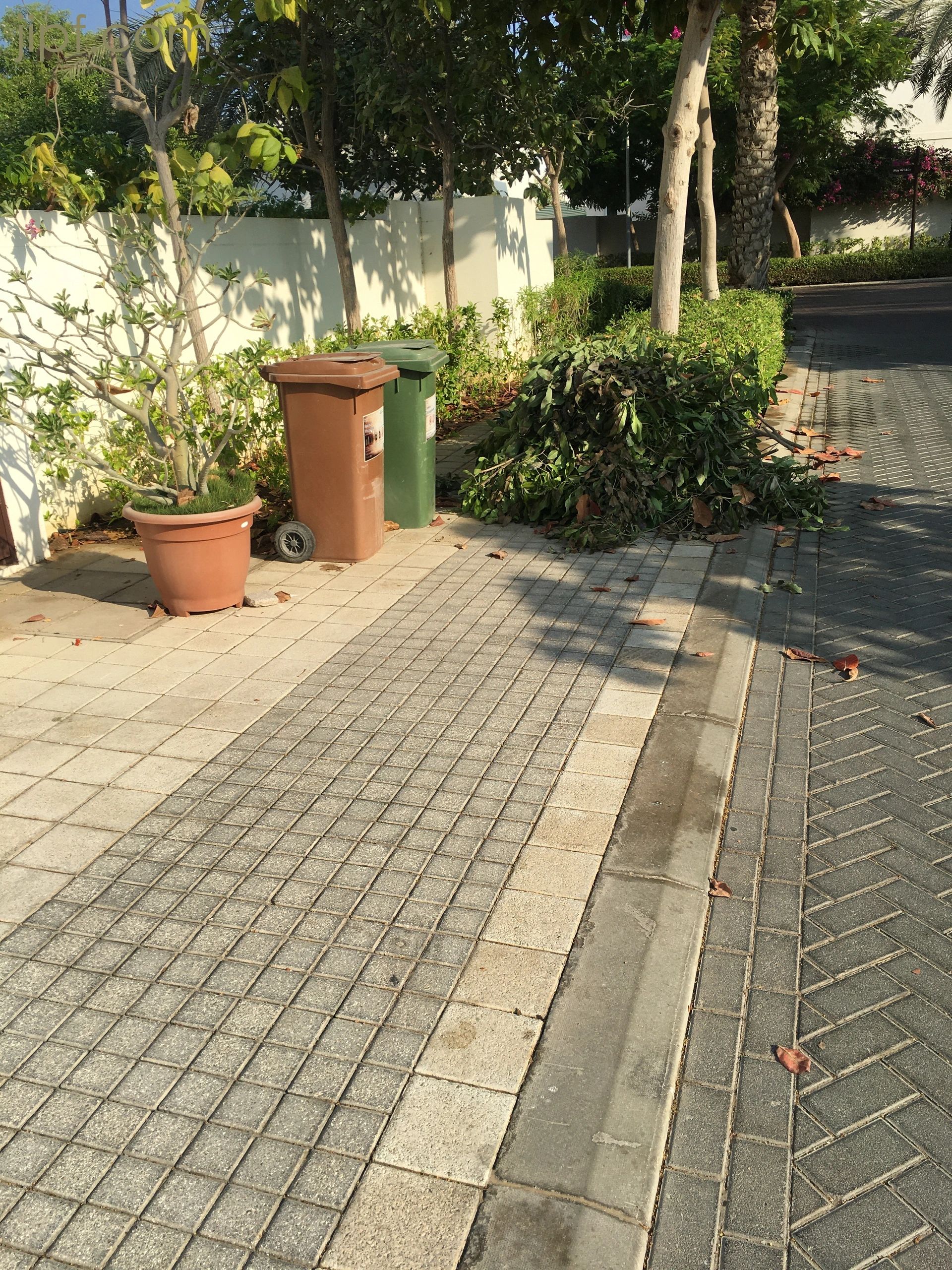 Don't to put the bins out