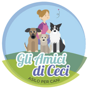 dogsocialschool.com