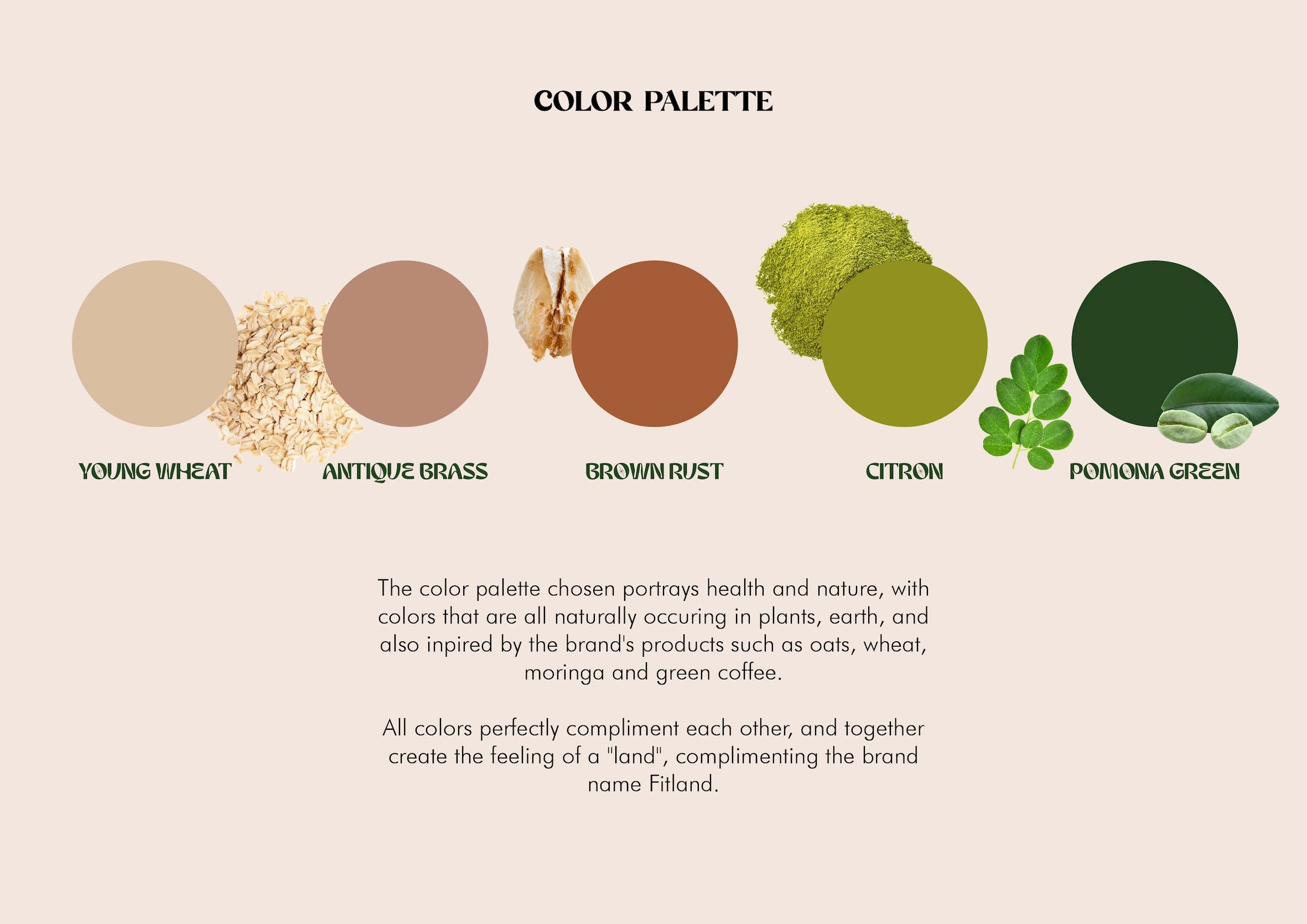 Natural color palette inspired by plants and earth for brand Fitland.