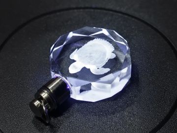 Crystal keychain with a turtle engraving.