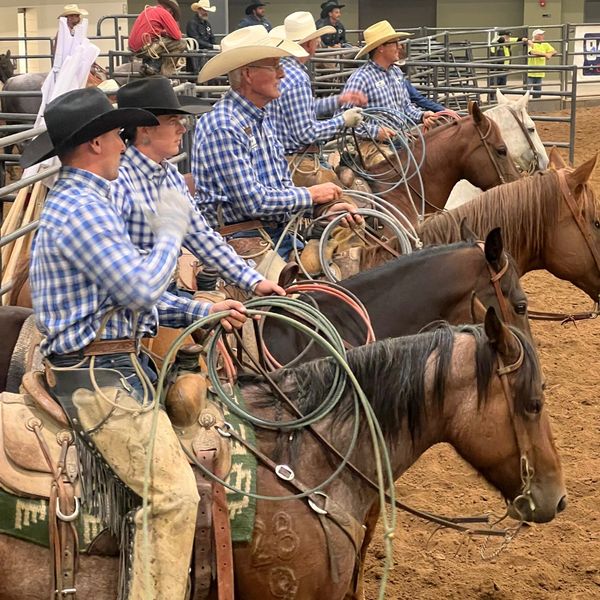 Cowboys on horseback with their ropes ready, lined up and ready to compete.