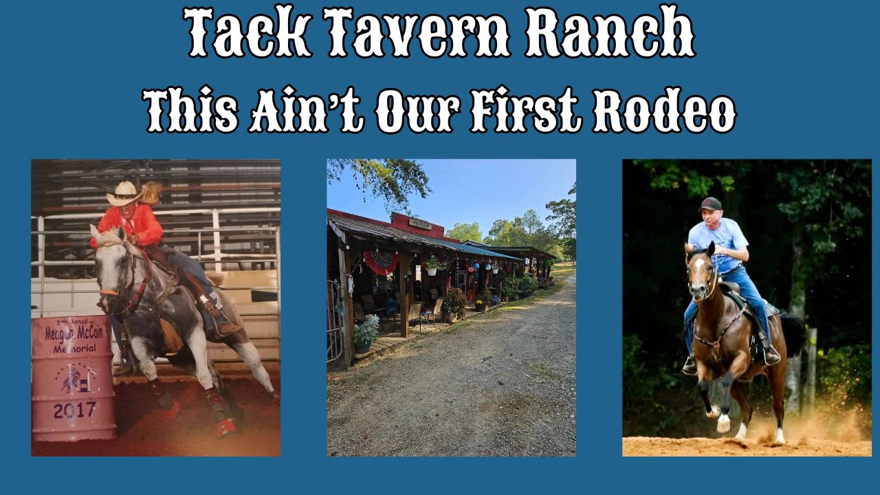 Horse Transportation - Tack Tavern Transport