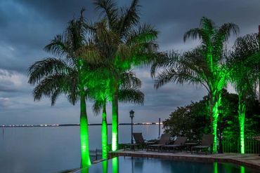 Landscape Lighting in color