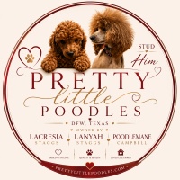 Pretty Little Poodles