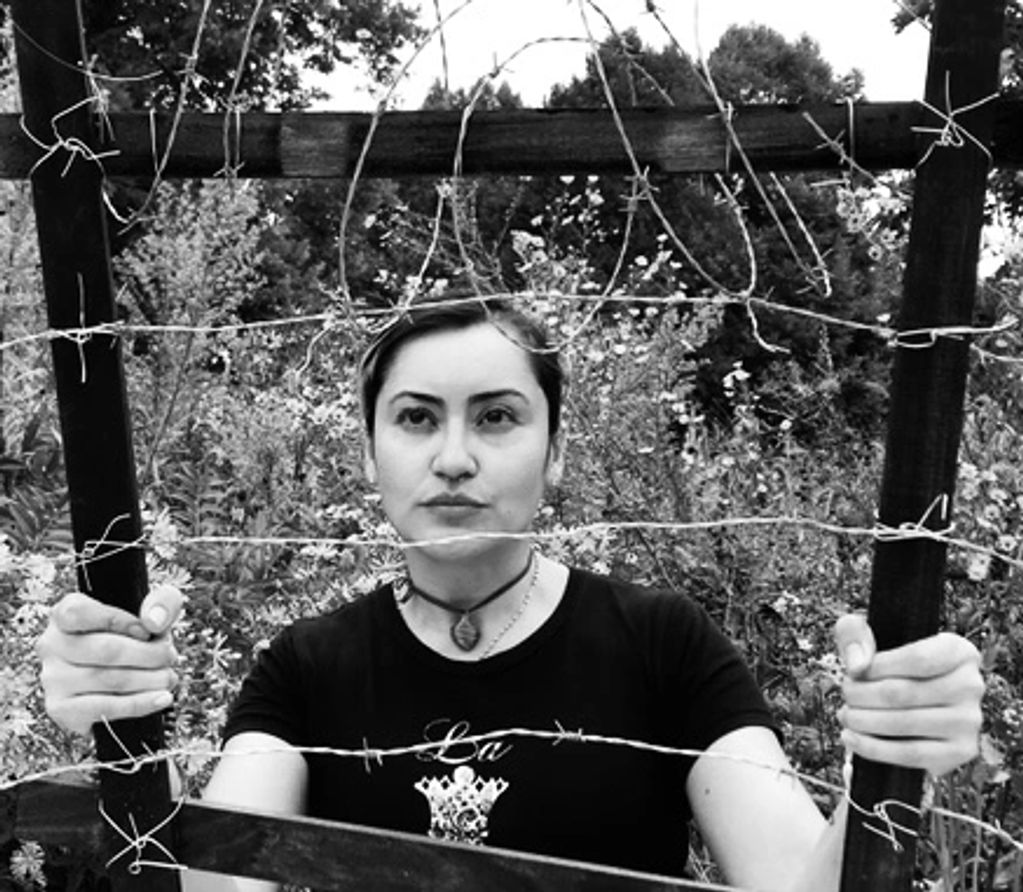 Wood, barbed wire, Denise