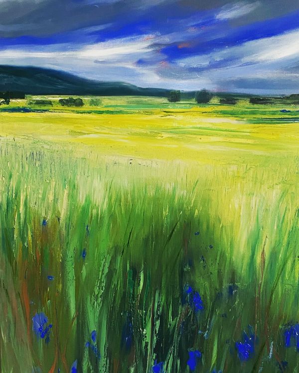 View from the road 
Www.sarahdoyleart.com