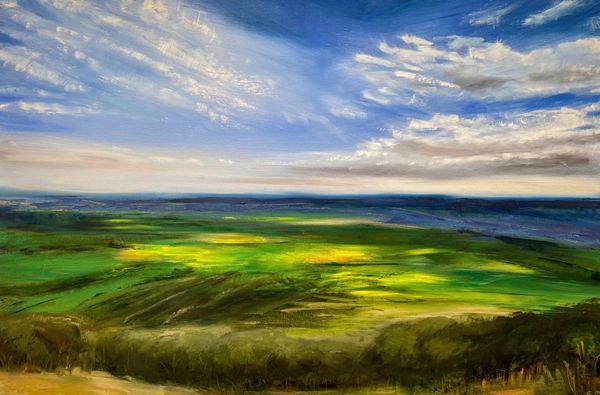 Www.sarahdoyleart.com
Oil on canvas 
“View from the top”, Nundle NSW
Sarah Doyle Art