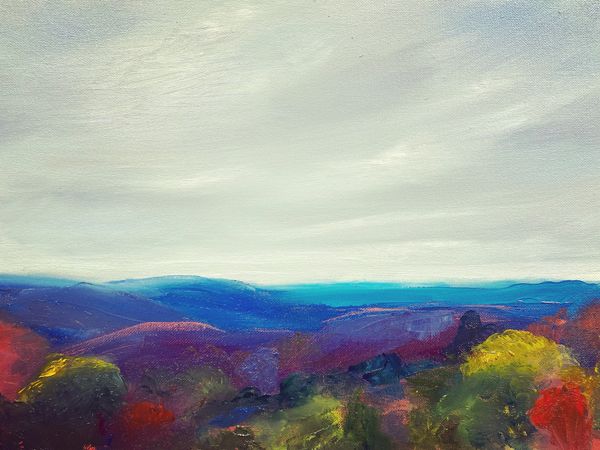 “Mt Tomah Colour”
Oil on canvas 2022
Www.sarahdoyleart.com
Sarah Doyle Art