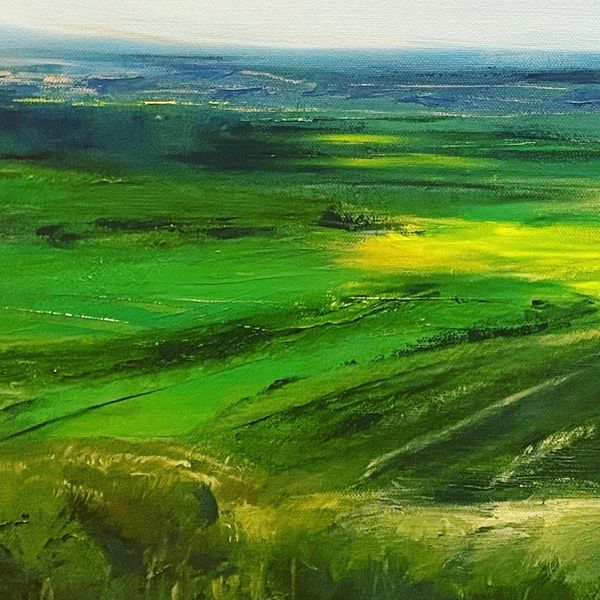 “A good season” Nundle,NSW
Www.sarahdoyleart.com.au
Sarah Doyle Art