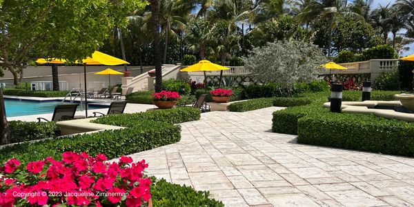 Brightly colored red flowers with yellow umbrellas at Bellaria, Palm Beach